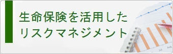 生命保険を活用したﾘｽｸﾏﾈｼﾞﾏｴﾝﾄ